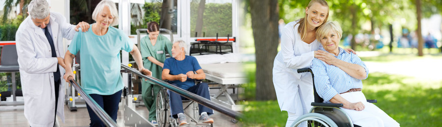 offres d'emploi Accompagnateur médicosocial, aide médico-psychologique et éducateur en locomotion domino care